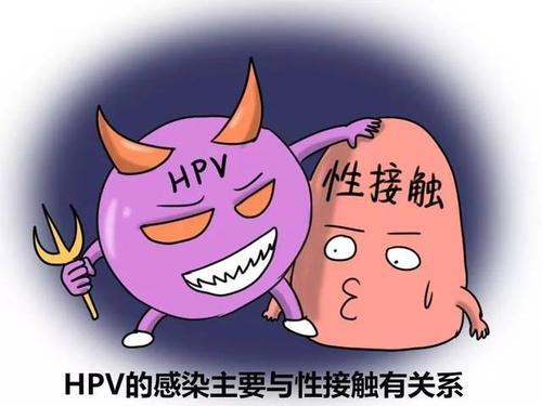 男性患有尖锐湿疣怎么办【惠州广肤皮肤病专科医院】